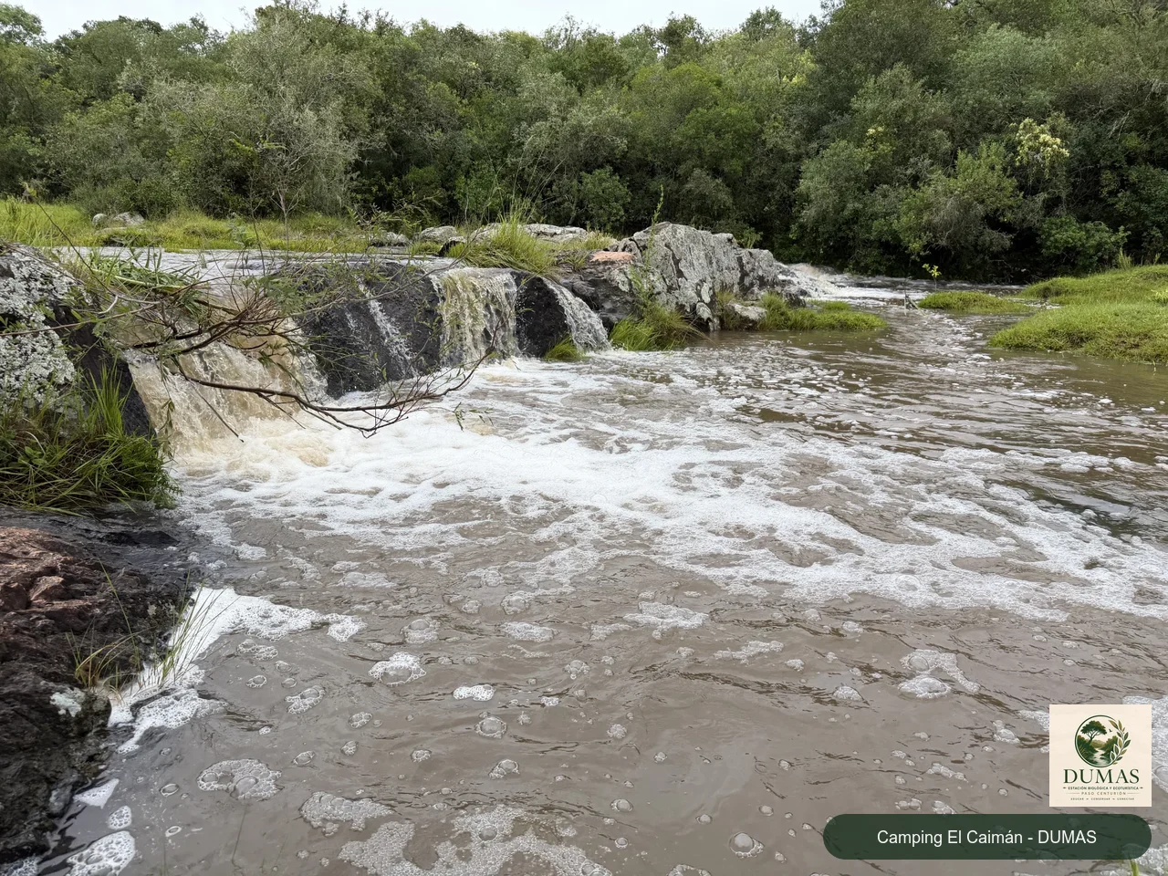 vichadero_IMG_0359.HEIC