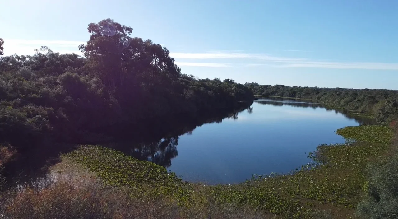Laguna borde opuesto