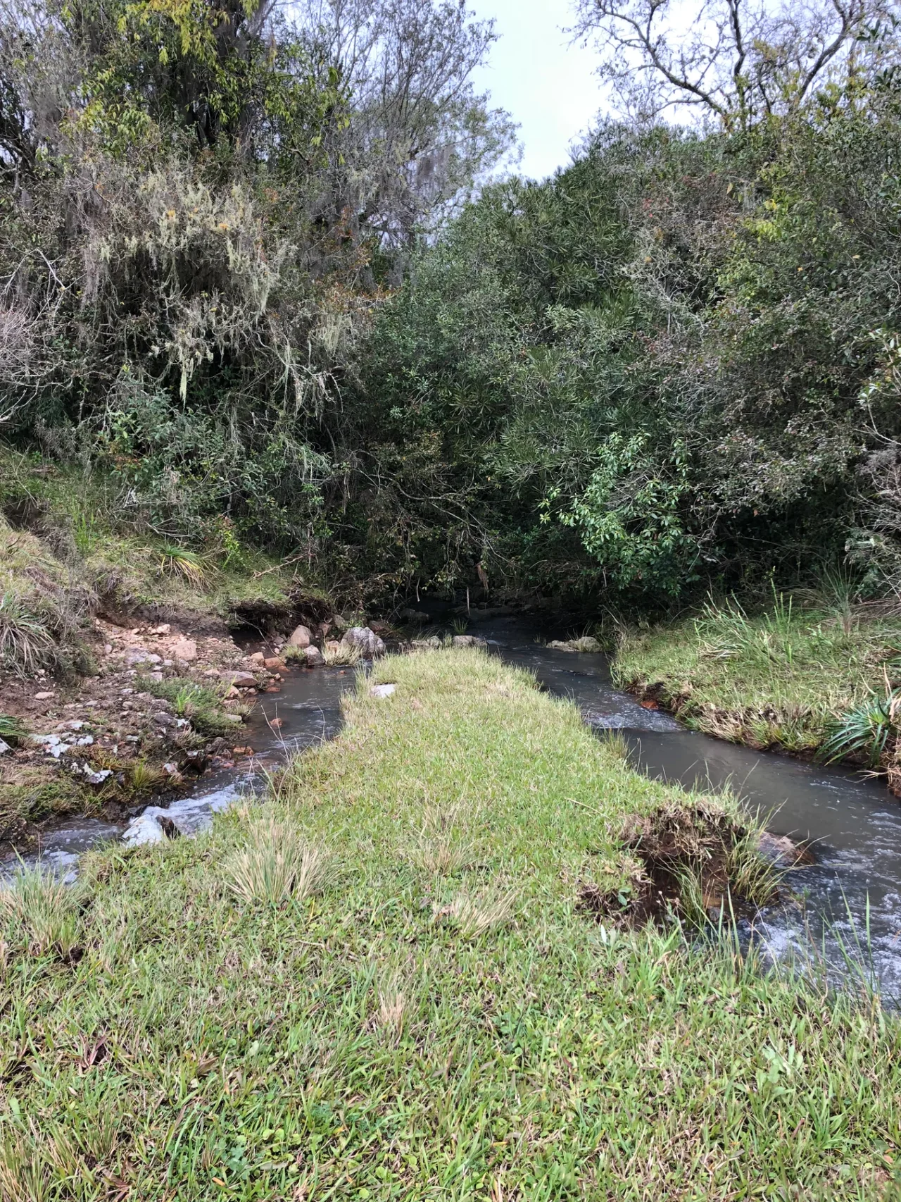 Foto del paseo Cueva de la Tigra y alrededores