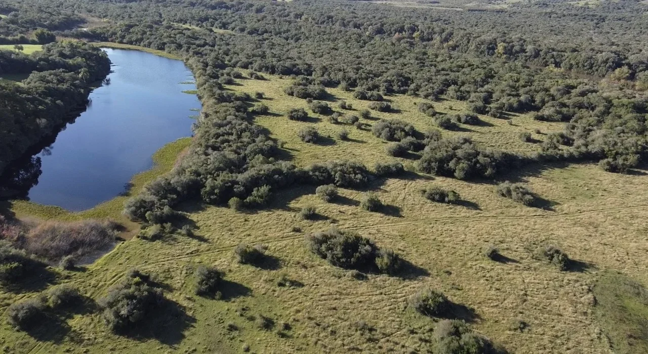 Vista aérea de una laguna rodeada de monte nativo en Paso Centurión.