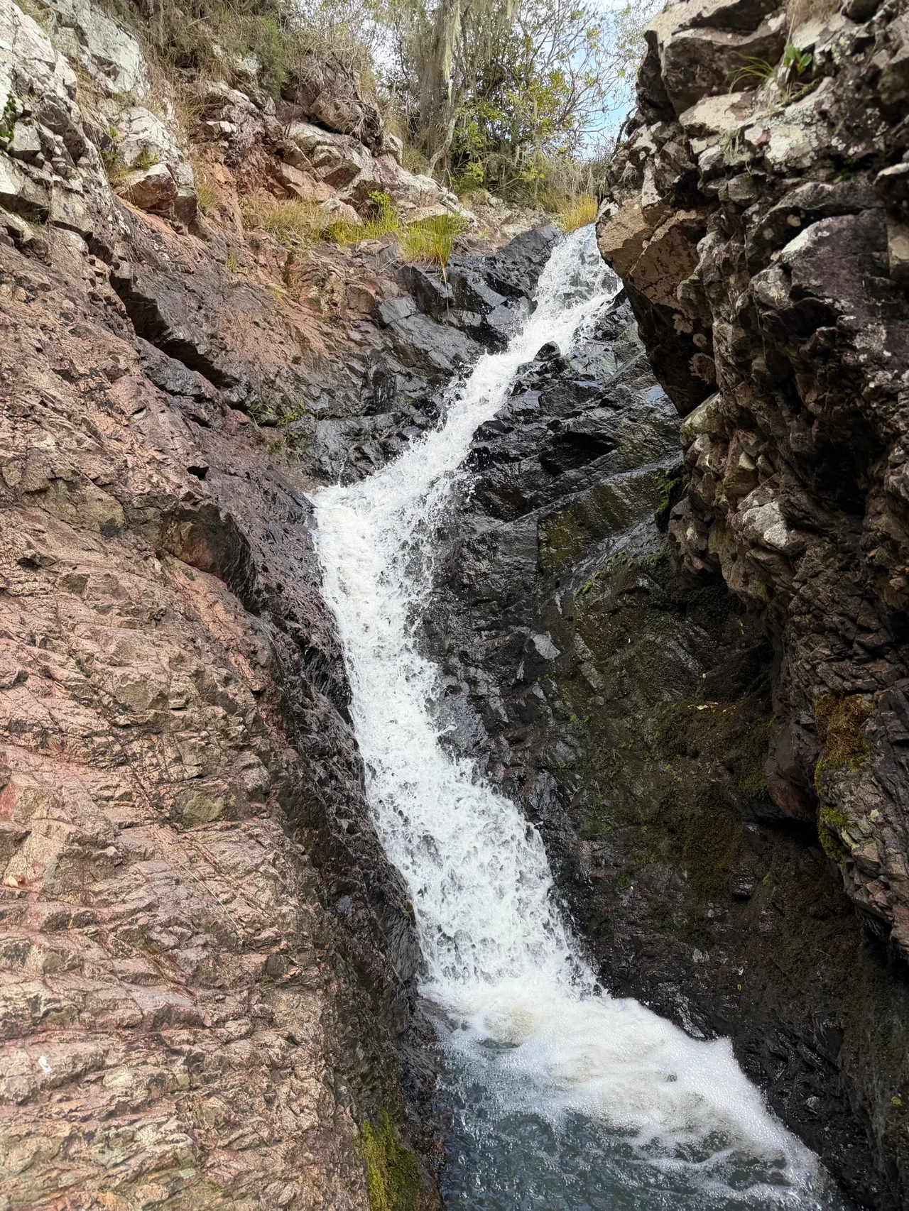 Foto del paseo Cueva de la Tigra y alrededores