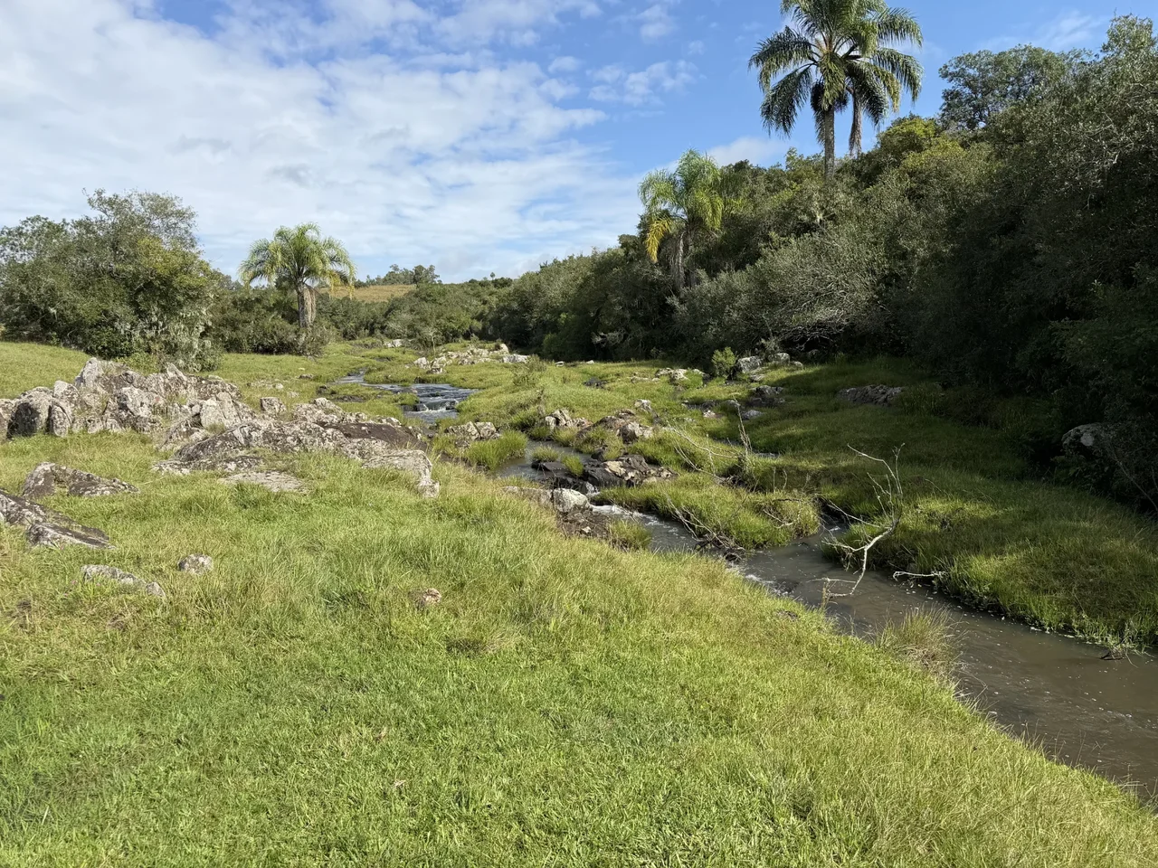 Foto del paseo Cañada Vichadero y alrededores