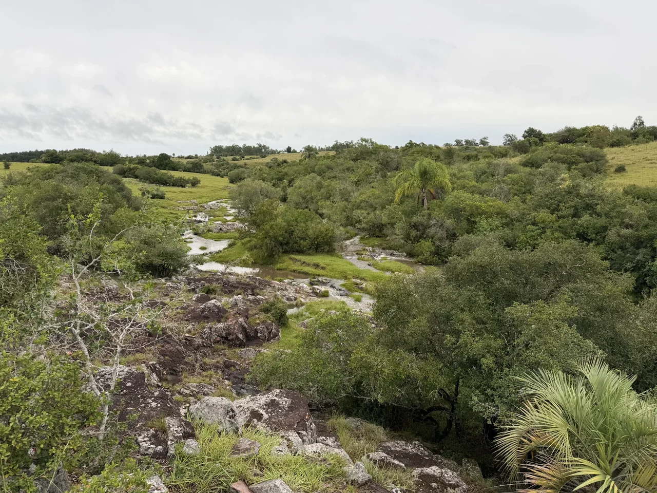 Foto del paseo Cañada Vichadero y alrededores