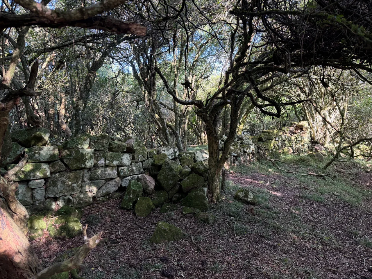 Foto del paseo La Cachoeira del río Yaguarón