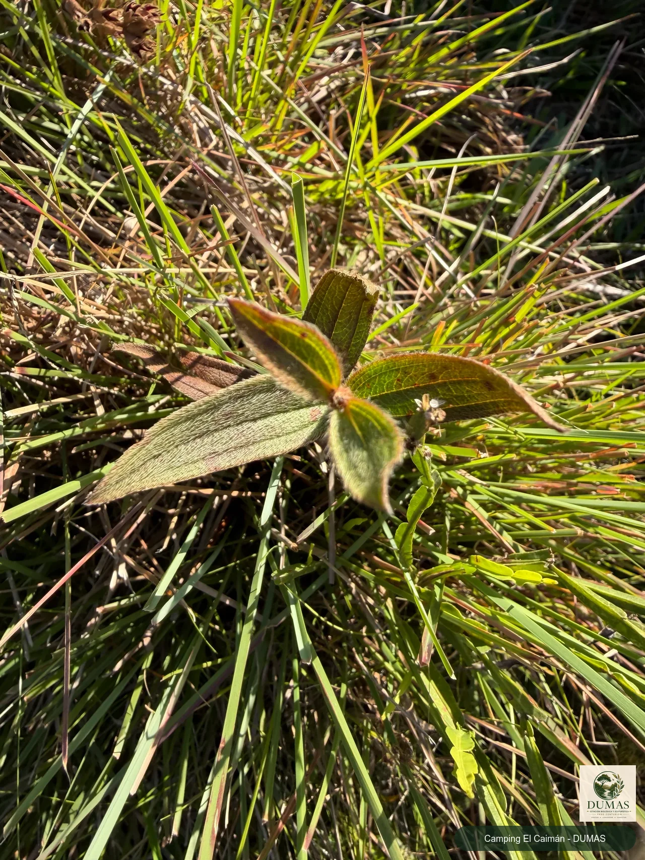Registro fotográfico de San Juanito