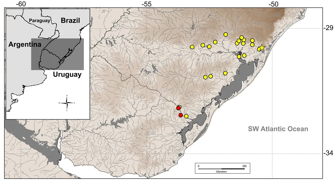 Mapa de distribución de Hemiancistrus punctulatus en el sur de Brasil y noreste de Uruguay.