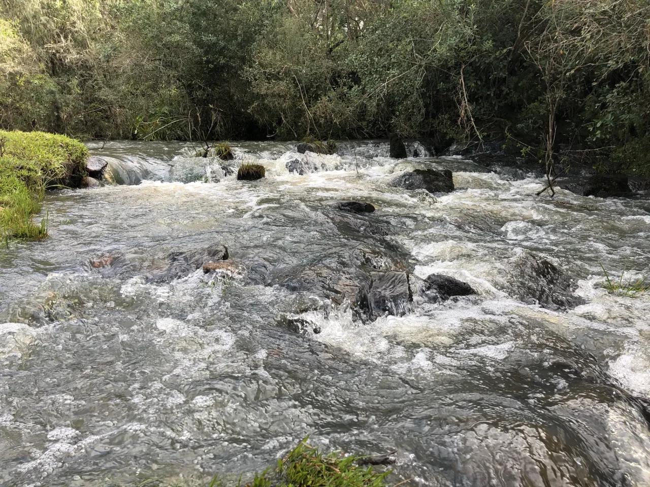 Foto del paseo Cañada Vichadero y alrededores
